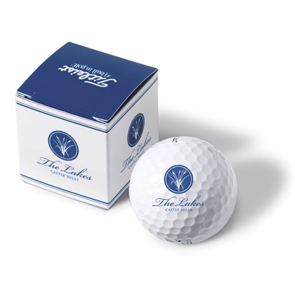 Picture of TITLEIST TRUFEEL GOLF BALL IN 1 BALL PRINTED SLEEVE